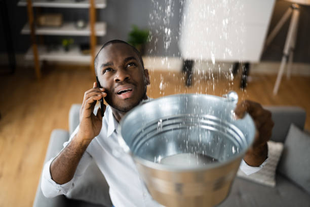 Best Water damage restoration near me  in Suitland, MD