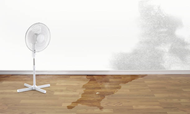 Best Water damage restoration company  in Suitland, MD