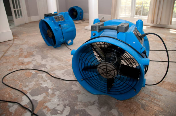 Best Sewage cleanup and water damage restoration  in Suitland, MD