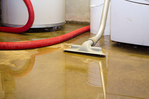 Best Carpet water damage restoration  in Suitland, MD