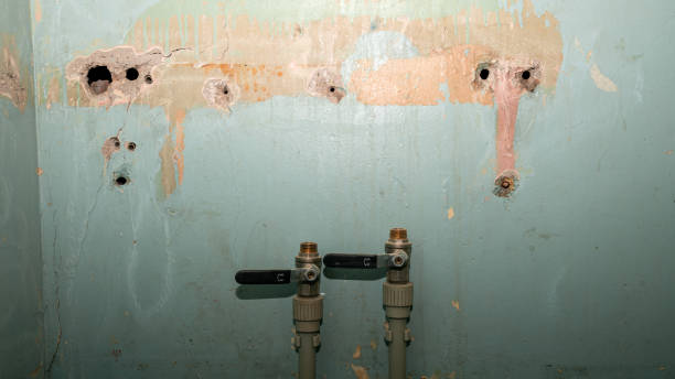 Best Water damage restoration near me  in Suitland, MD