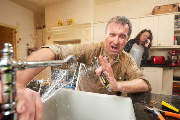 Best Sewage cleanup and water damage restoration  in Suitland, MD